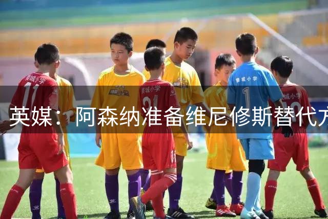 英媒：阿森纳准备维尼修斯替代方案，努萨居首，莱比锡要价5100万镑